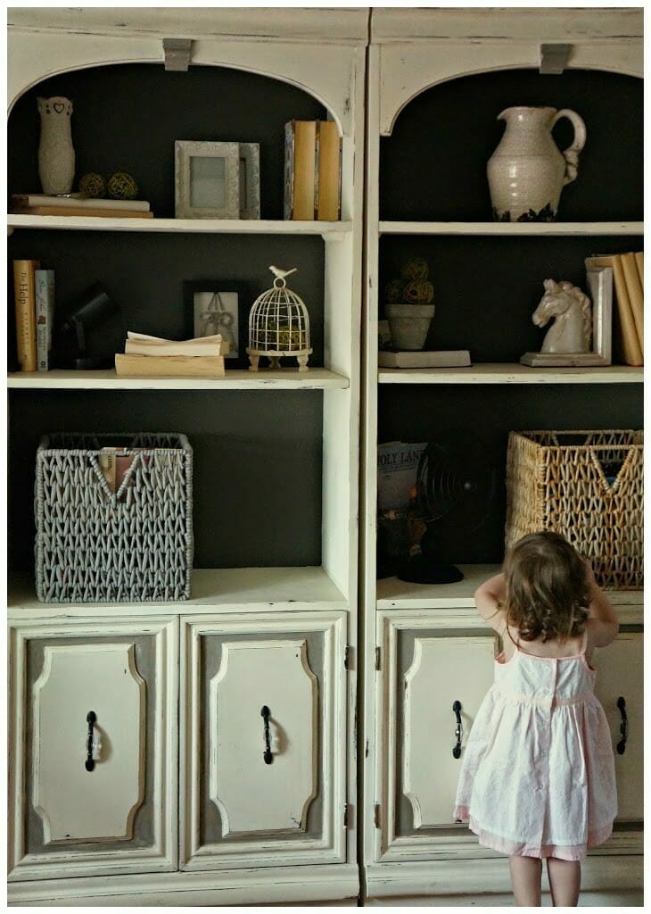 bookcase-and-gemma