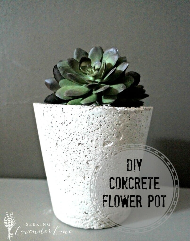 DIY Concrete Flower Pot