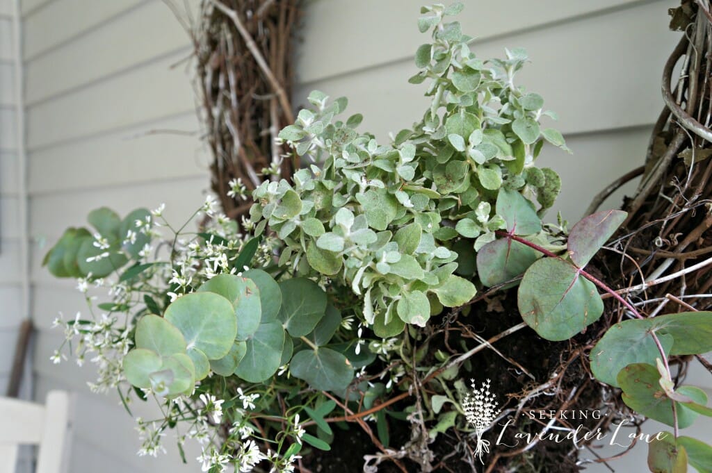 Wicker Wreath Flower Holder