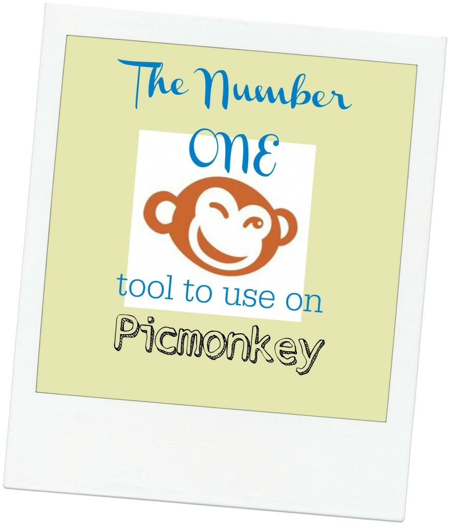 The Number One Tool to Use on Picmonkey