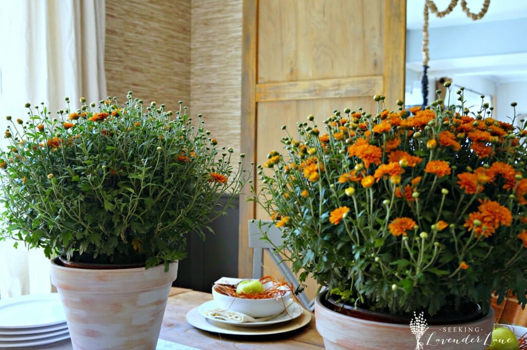 Rustic Fall Dining Room