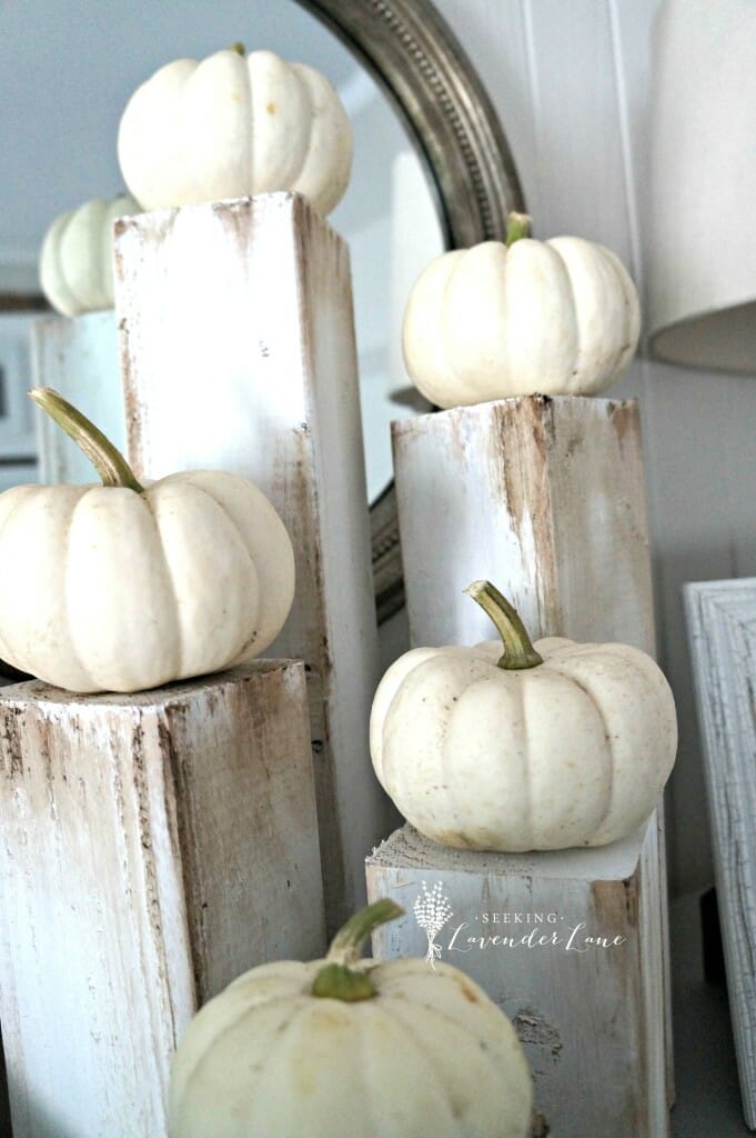 White Pumpkins on Rustic Wood