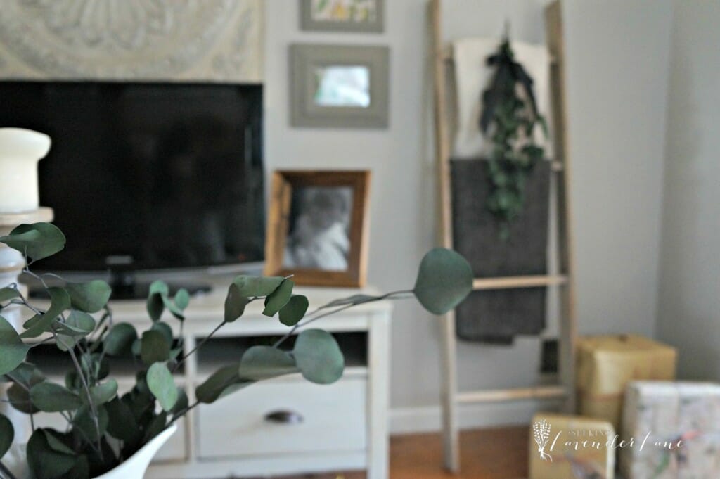 Eucalyptus Christmas Decor