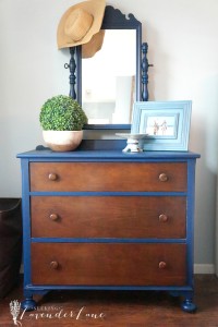 Blue Dresser 1