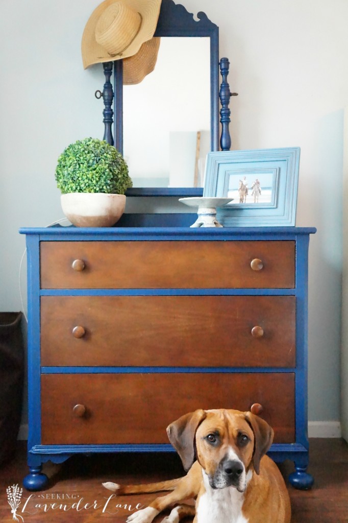 blue dresser 5