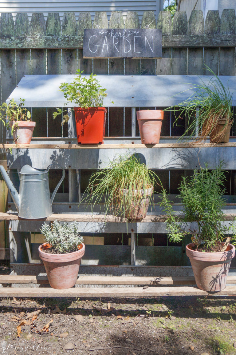 Vintage Herb Garden - Seeking Lavender Lane