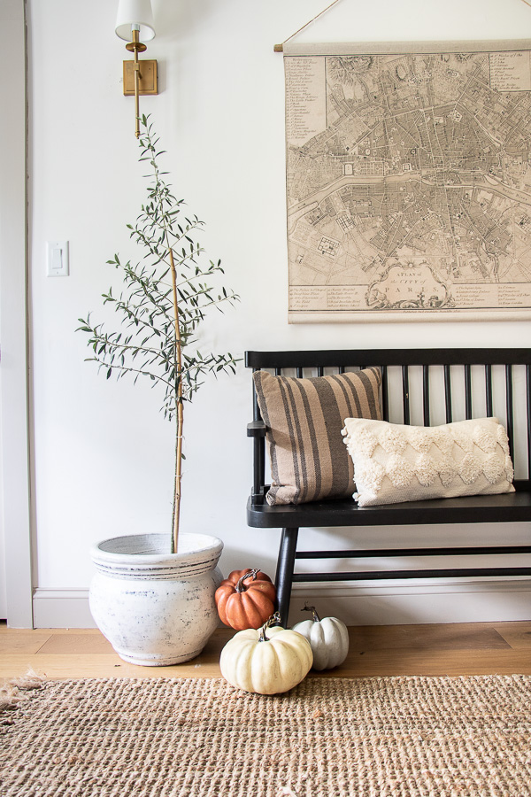 pampas-grass-black-vase - Seeking Lavender Lane