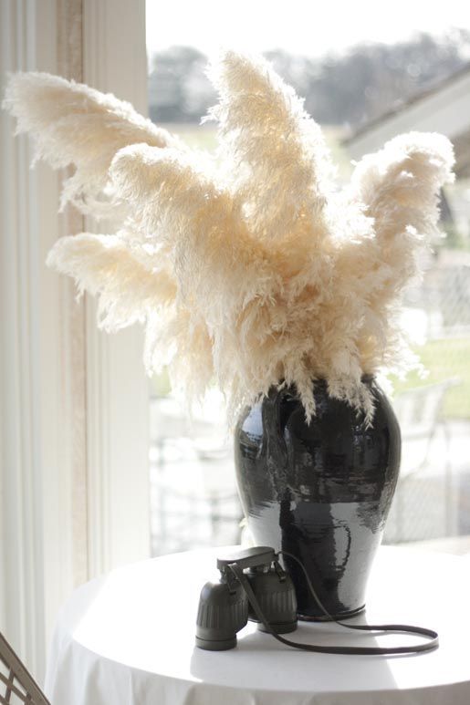 Black Pampas Grass In Vase