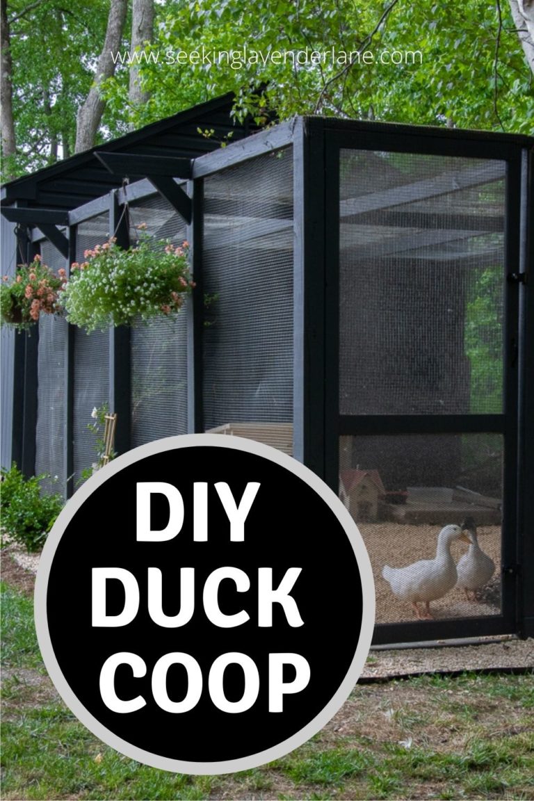 DIY Duck Run - Seeking Lavender Lane